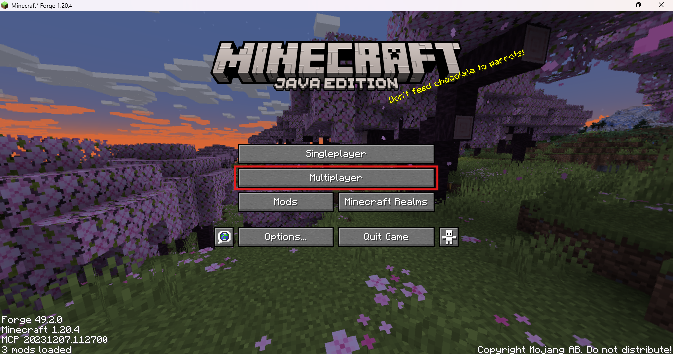 Multiplayer Button